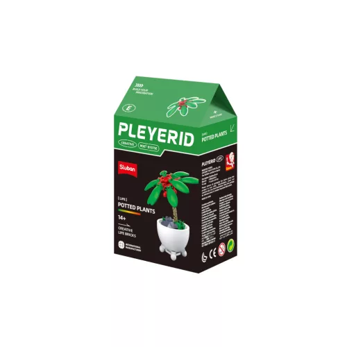 Sluban Flowers -  Piros szobapáfrány "E" építőjáték készlet