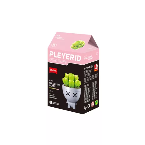 Sluban Flowers - Kaktusz cserépben "D" építőjáték készlet
